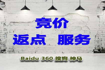 成功案例：竞价SEM托管助力品牌营销